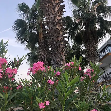 Hotel apartamentowy Mina Grand 3*