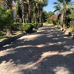 Mina Grand 3* Kemer